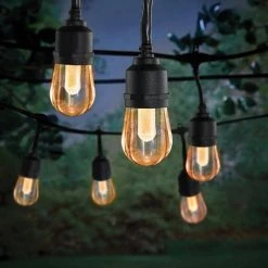 Hampton Bay Outdoor/Indoor 24 ft. Smart Hubspace Plug-in Edison Bulb RGBW Color Changing LED String Light (12-Bulb) -Hampton Bay Shop black hampton bay smart outdoor lighting hb 10521 hs 1d 1000