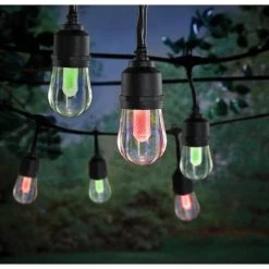 Hampton Bay Outdoor/Indoor 24 ft. Smart Hubspace Plug-in Edison Bulb RGBW Color Changing LED String Light (12-Bulb) -Hampton Bay Shop black hampton bay smart outdoor lighting hb 10521 hs 40 1000