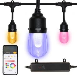 Hampton Bay Outdoor/Indoor 24 ft. Smart Hubspace Plug-in Edison Bulb RGBW Color Changing LED String Light (12-Bulb)