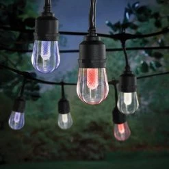 Hampton Bay Outdoor/Indoor 24 ft. Smart Hubspace Plug-in Edison Bulb RGBW Color Changing LED String Light (12-Bulb) -Hampton Bay Shop black hampton bay smart outdoor lighting hb 10521 hs 66 1000