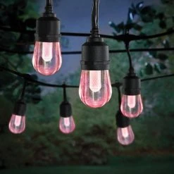 Hampton Bay Outdoor/Indoor 24 ft. Smart Hubspace Plug-in Edison Bulb RGBW Color Changing LED String Light (12-Bulb) -Hampton Bay Shop black hampton bay smart outdoor lighting hb 10521 hs 77 1000