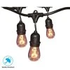 Hampton Bay 12-Light 24 ft. Black Commercial Incandescent String Light