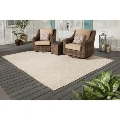 Hampton Bay Shop -Hampton Bay Shop brown hampton bay outdoor rugs 3090595 e1 1000