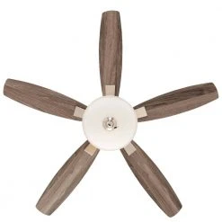 Hampton Bay Menage 52 in. Integrated LED Indoor Low Profile Brushed Nickel Ceiling Fan with Light Kit -Hampton Bay Shop brushed nickel hampton bay ceiling fans with lights 14600 c3 1000