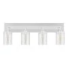Hampton Bay Regan 29.25 in. 4-Light Chrome Bathroom Vanity Light with Clear Glass Shades