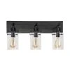 Hampton Bay Regan 21 in. 3-Light Espresso Bronze Bathroom Vanity Light with Clear Glass Shades