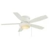 Hampton Bay Roanoke 48 in. LED Indoor/Outdoor Matte White Ceiling Fan with Light Kit