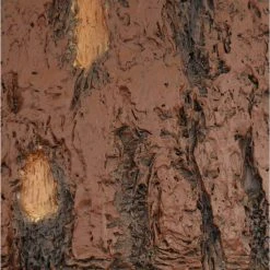 Hampton Bay Lodge 52 in. LED Nutmeg Ceiling Fan with Light and Remote Control 22 Hampton Bay Lodge 52 in. LED Nutmeg Ceiling Fan with Light and Remote Control -Hampton Bay Shop nutmeg hampton bay ceiling fans with lights yg098b nm 1f 1000