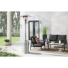 Hampton Bay 48000 BTU Stainless Steel Patio Heater
